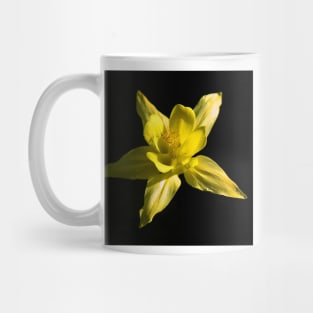 Yellow Colombine Mug